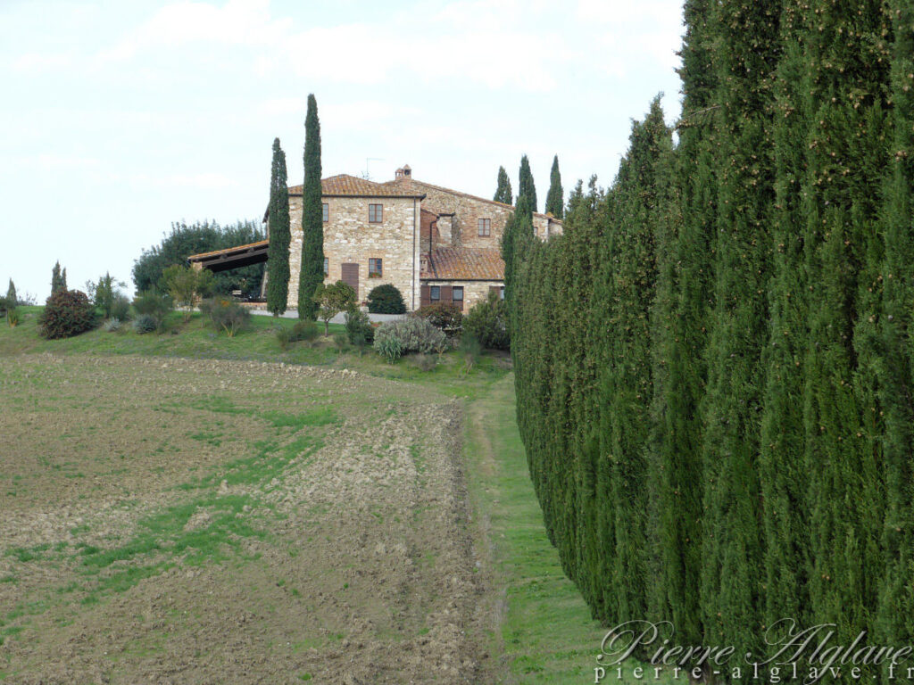 En chemin sur la Via Francigena