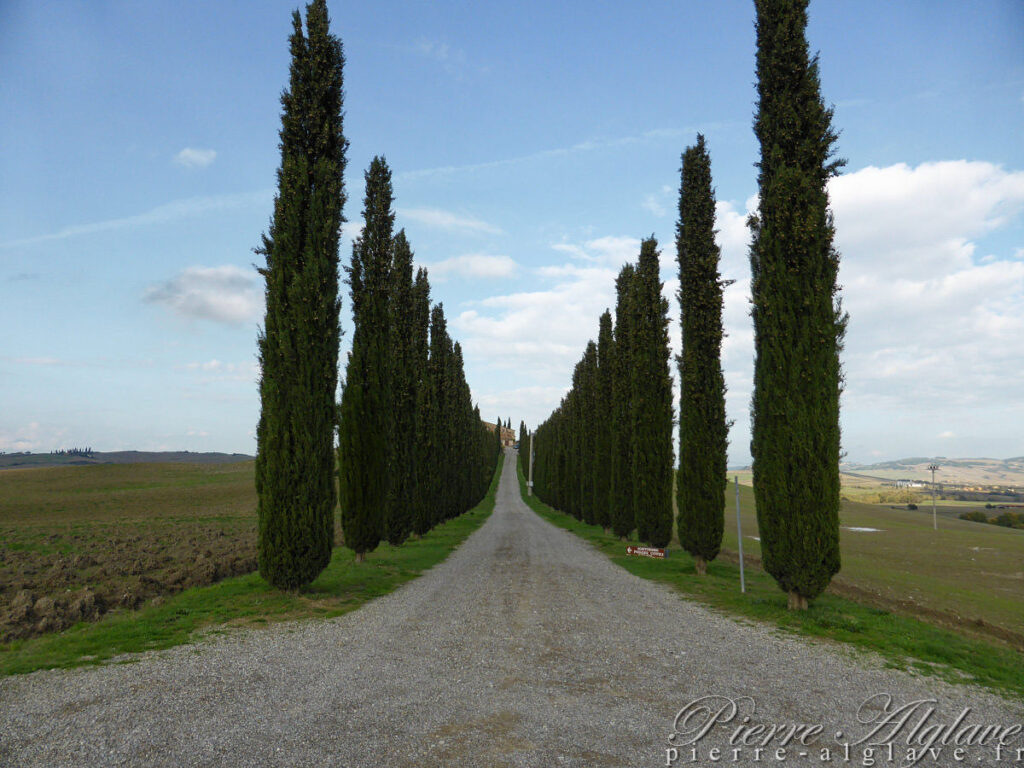 En chemin sur la Via Francigena