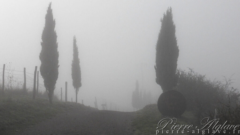 En chemin dans la brume sur la Via Francigena