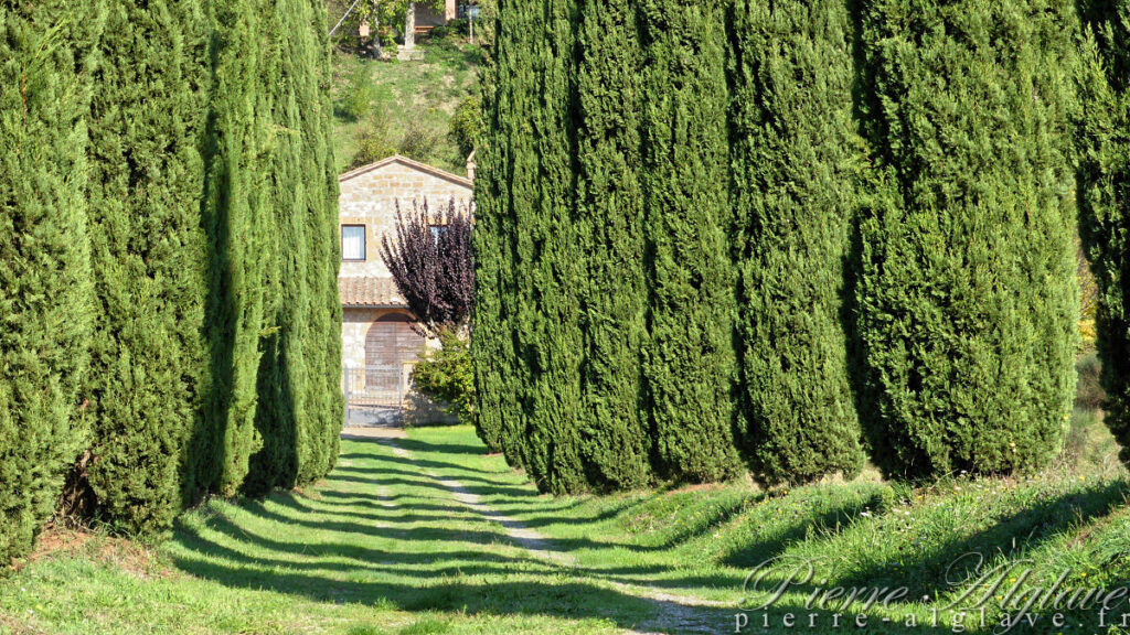 En chemin sur la Via Francigena