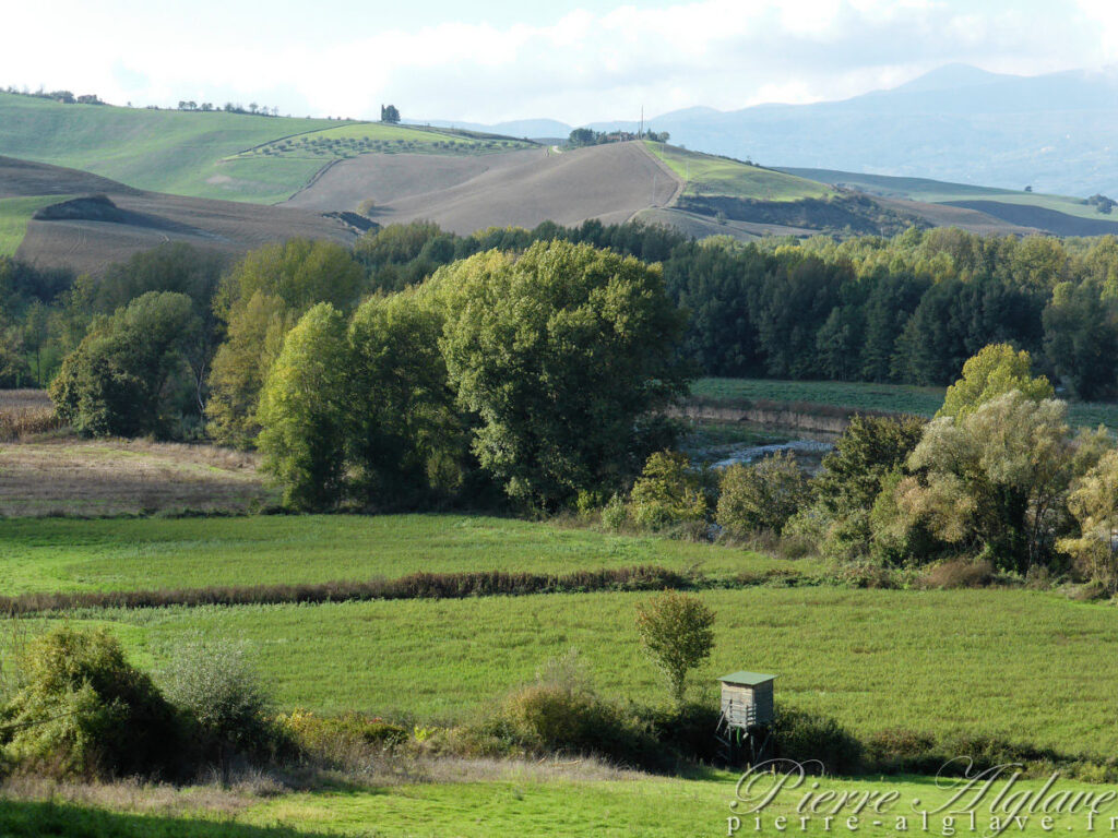 En chemin sur la Via Francigena