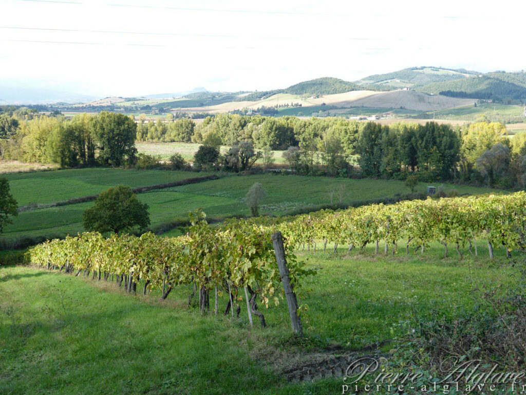 En chemin sur la Via Francigena