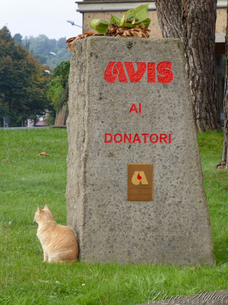 Je suis encore protégé