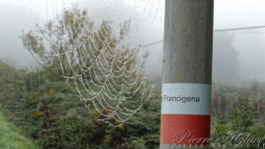 En Chemin sur la Via Francigena