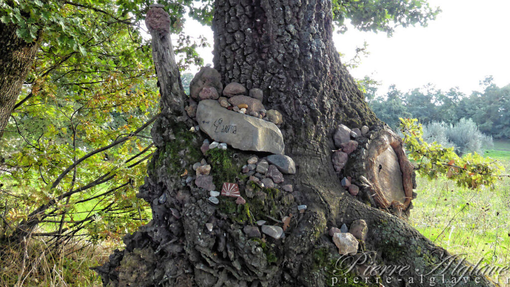 En Chemin sur la Via Francigena