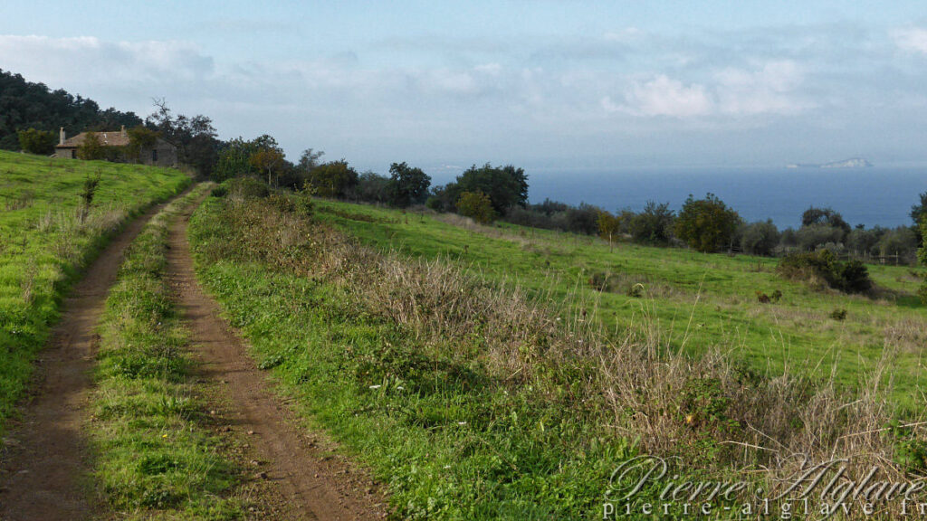 En chemin sur la Via Francigena