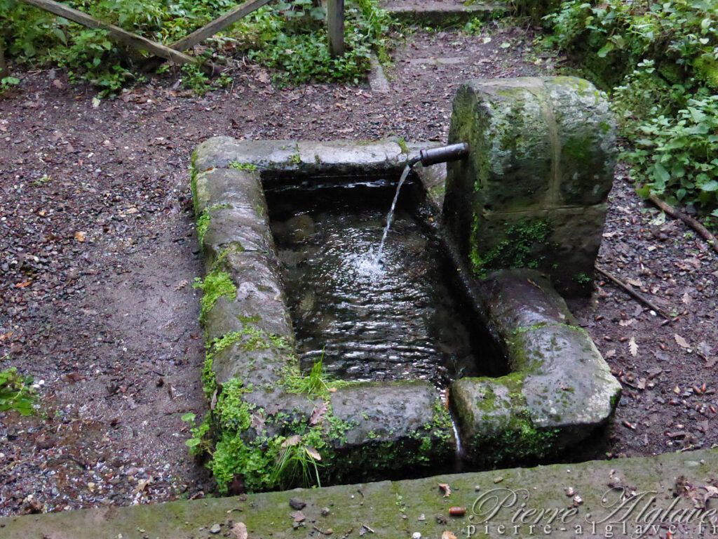 En chemin sur la Via Francigena