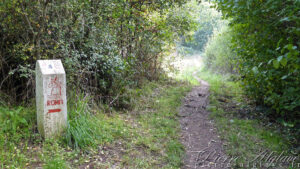 Sur la Via Francigena