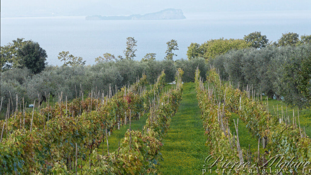 En chemin sur la Via Francigena