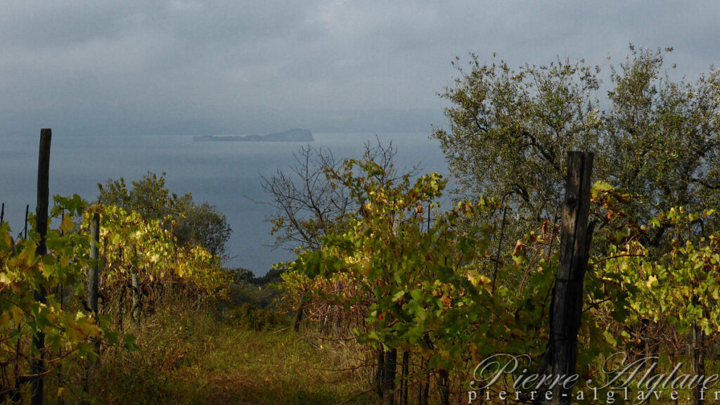 En chemin sur la Via Francigena