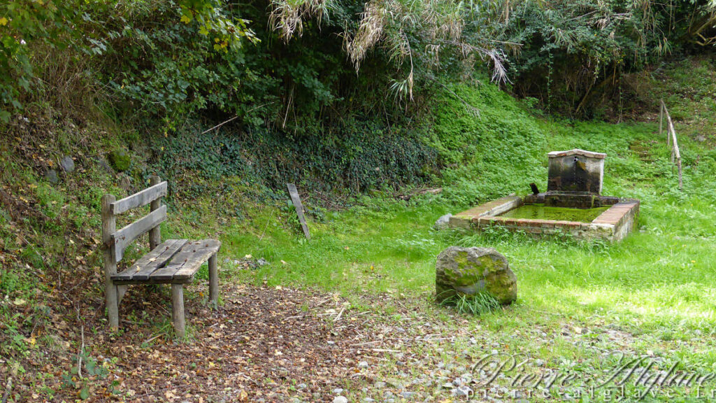 En chemin sur la Via Francigena