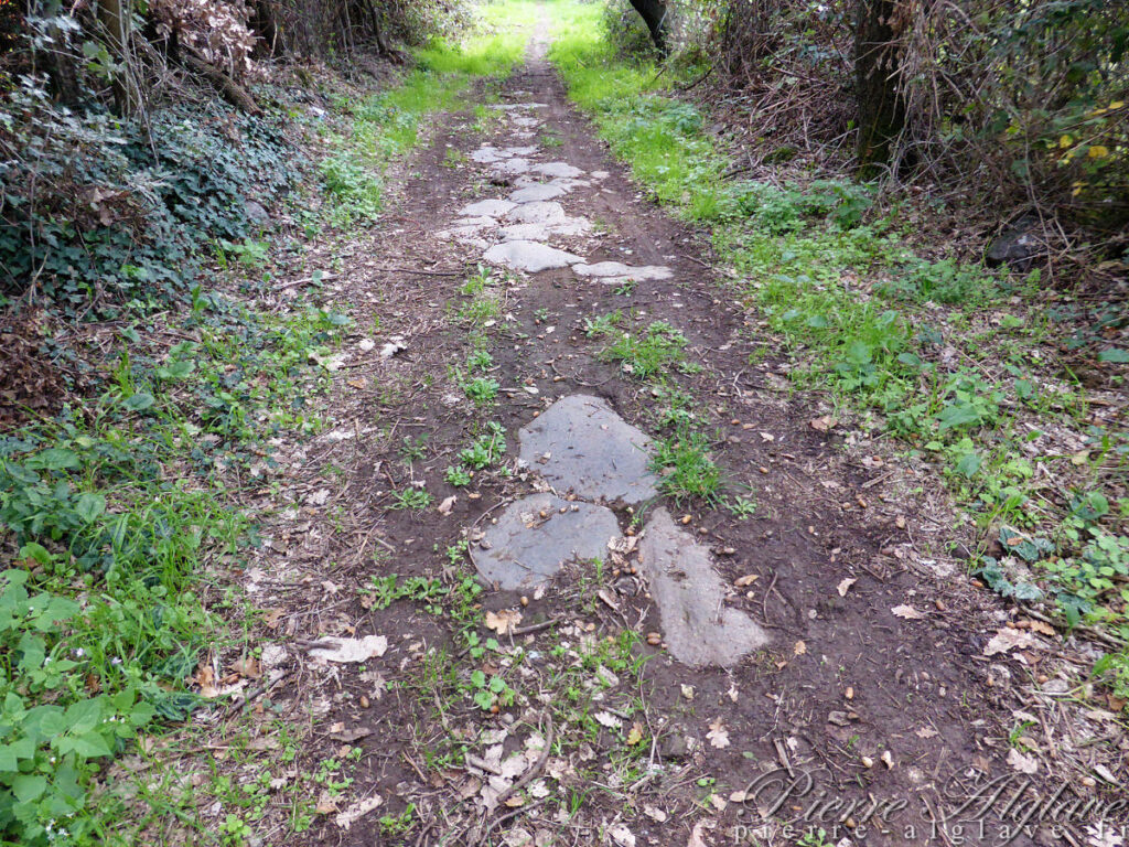 En chemin sur la Via Francigena