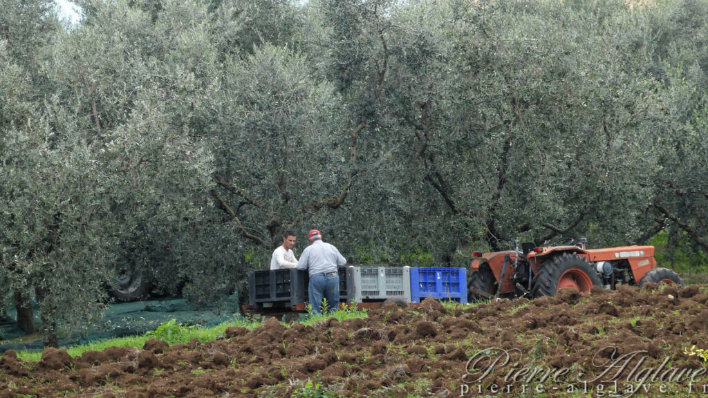 En chemin sur la Via Francigena