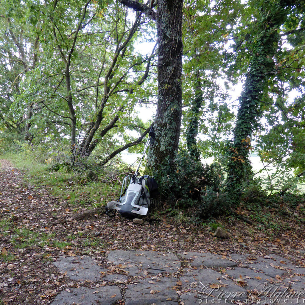 En chemin sur la Via Francigena