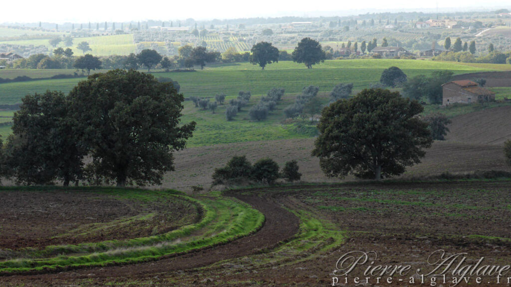 En chemin sur la Via Francigena