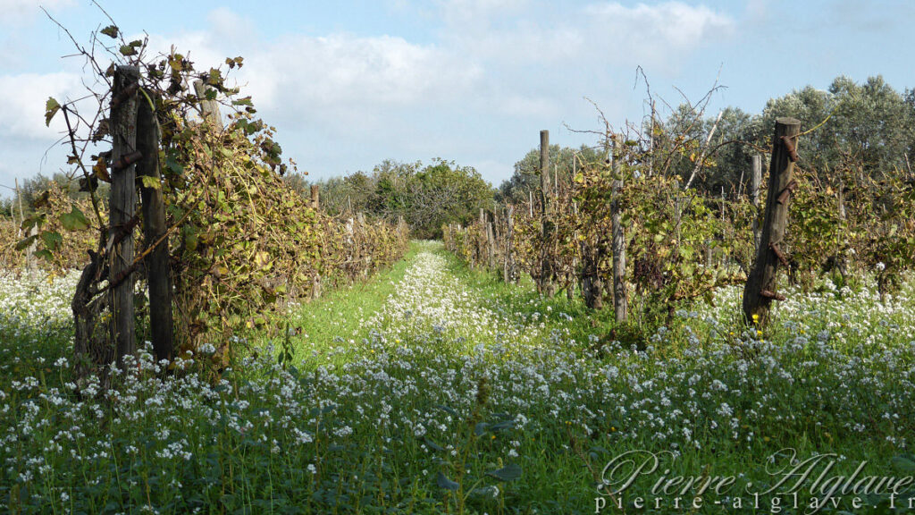 En Chemin