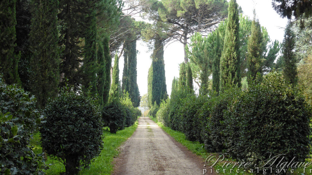 En chemin sur la Via Francigena