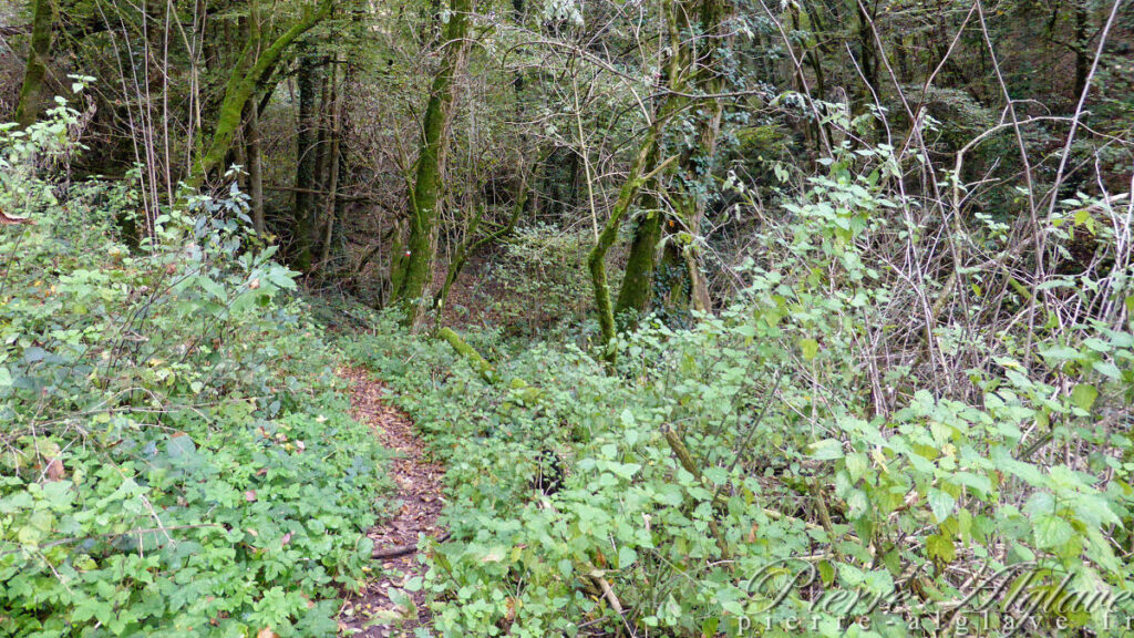 Un chemin bucolique vers Sutri