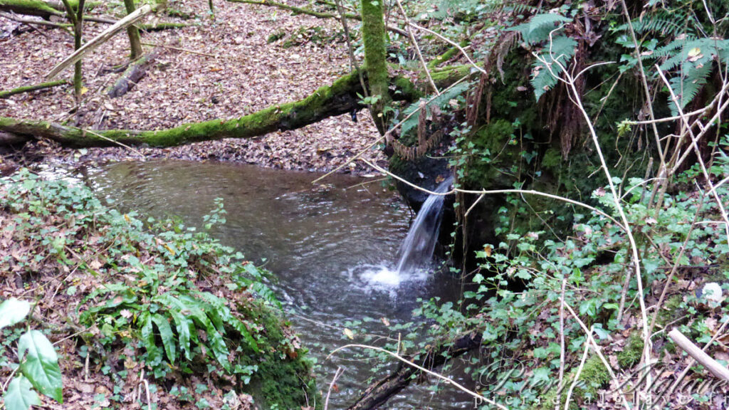 Un chemin bucolique vers Sutri