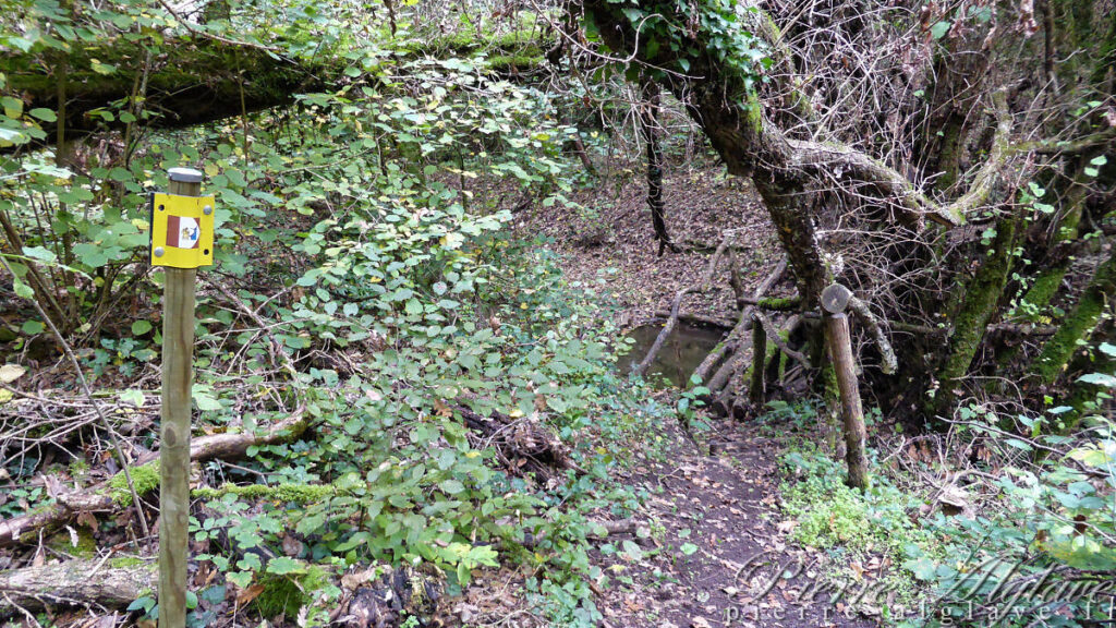 Un chemin bucolique vers Sutri