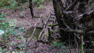 Un parcours d'aventure