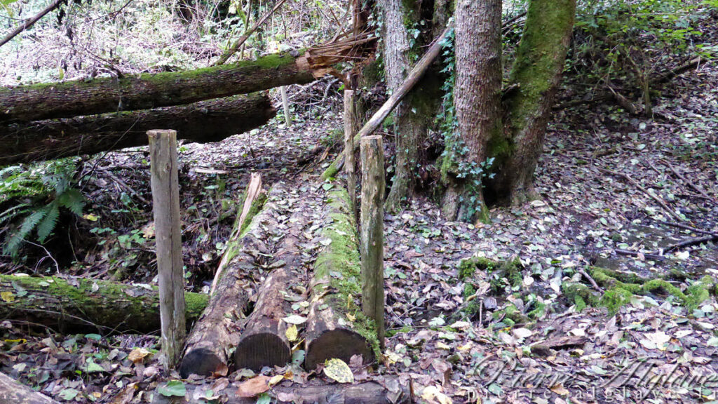 Un chemin bucolique vers Sutri