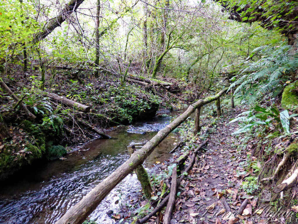 Un chemin bucolique vers Sutri