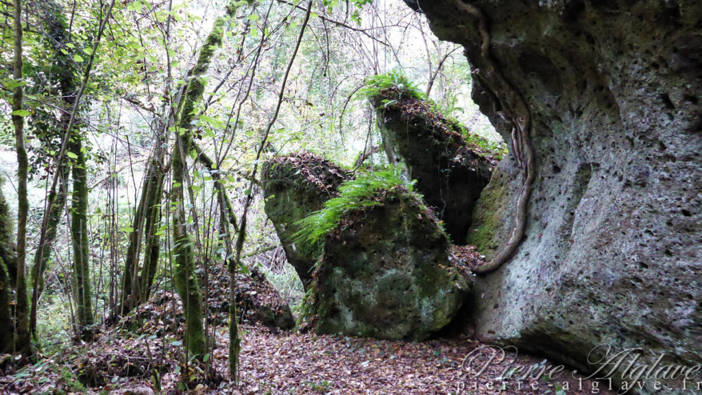 Un chemin bucolique vers Sutri