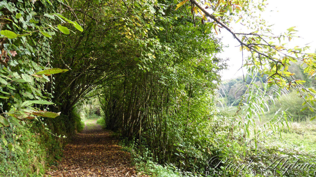 Un chemin bucolique vers Sutri