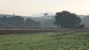 Sur la Via Francigena