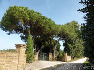 Sur la Via Francigena