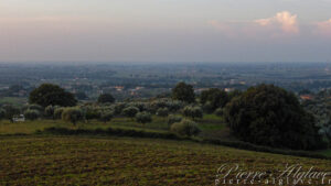 Au loin Rome !