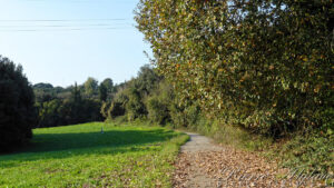 En chemin vers Rome