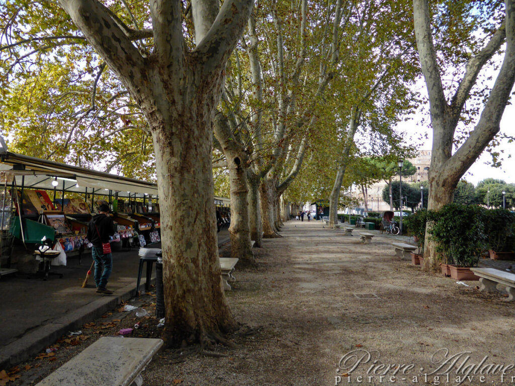 Scènes de rue
