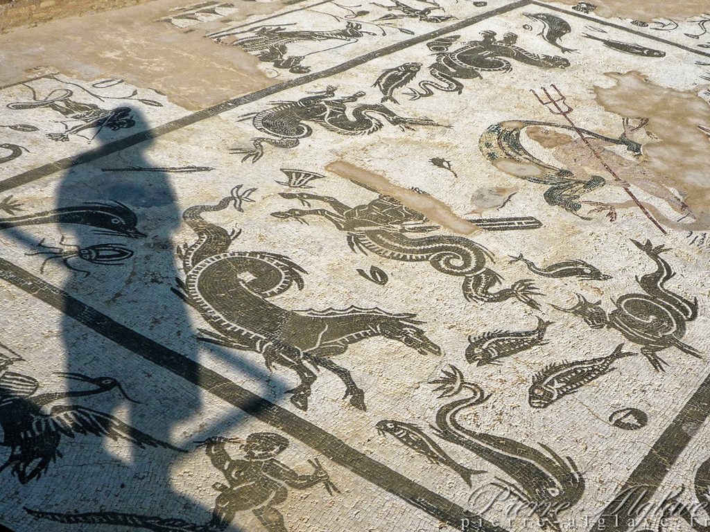 Mosaïque dans l'ancienne ville romaine D'Italica sur la Via de la Plata