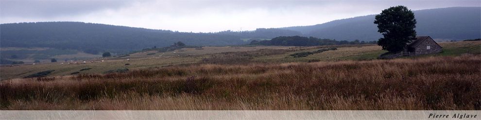 Le Sauvage ; le plateau Le Sauvage ; le plateau