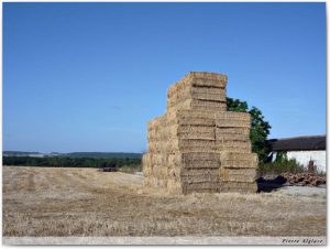 La campagne