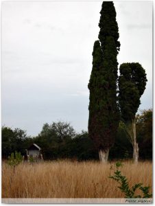 Cimetière huguenot