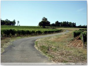Le chemin