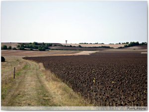 Le chemin