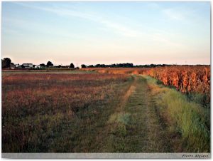 En chemin